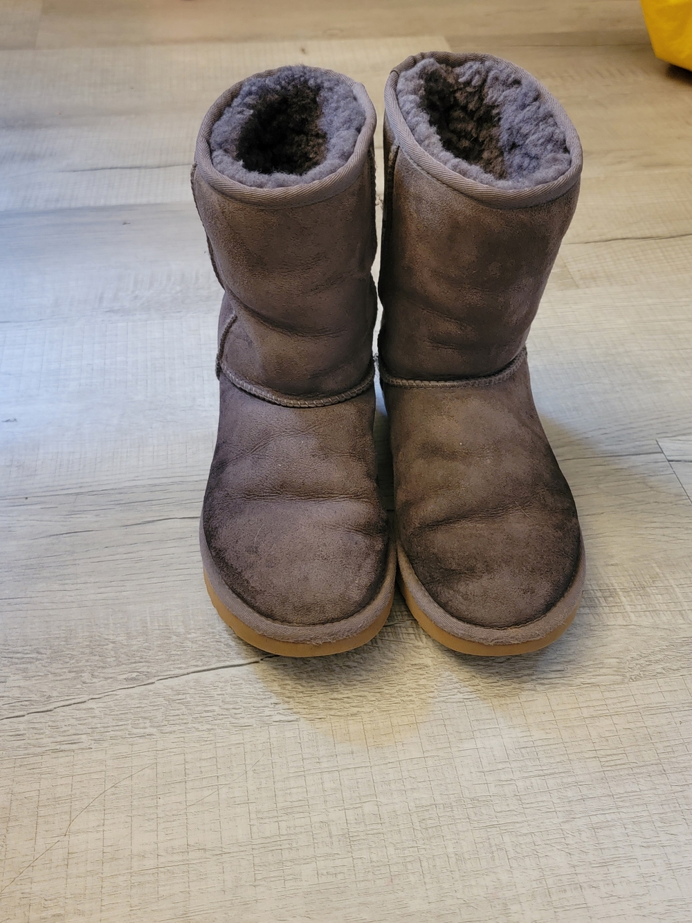 UGG Women's Short Classic Plush Suede Boots in Brown